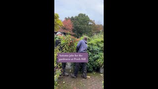 Autumn jobs for the gardeners at Perch Hill [upl. by Seem]