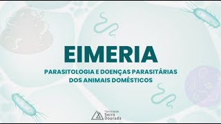 EIMERIASPP  PARASITOLOGIA E DOENÇAS PARASITÁRIAS DOS ANIMAIS DOMÉSTICOS [upl. by Quar]