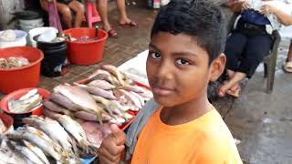 Fishmarket in Bluefields Nicaragua 27 Dec 2023 [upl. by Eachern]