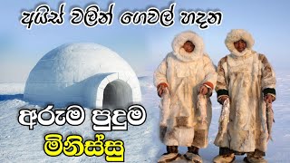 අයිස් වලින් ගෙවල් හදන අරුම පුදුම මිනිසුන්  eskimo people sinhala [upl. by Ernald]