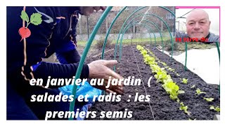 que faire au jardin en janvier on sème des salades et des radis en couche [upl. by Felton]