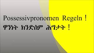 Possessivpronomen Regeln！ ዋንነት ክንድስም ሕግታት！ [upl. by Fairman42]