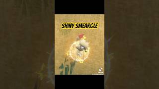 Shiny Smeargle pokemon shinypokemon shinyhunting pokemonscarletviolet pokemontiktok smeargle [upl. by Shirline14]