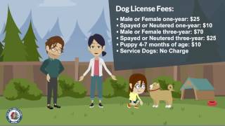 Why you really SHOULD get your dog licensed [upl. by Vareck23]