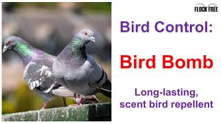 How to use a quotBird Bombquot harmless bird repellent [upl. by Lubet]