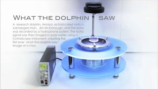 What the dolphin saw CymaticHolographic imaging technique [upl. by Abixah139]