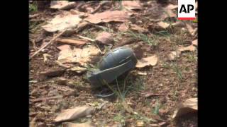 Rwanda  Mass Graves On Mount Kigali [upl. by Nitfa]