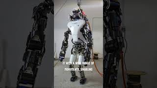 Atlas Robot From Boston Dynamics [upl. by Renita]