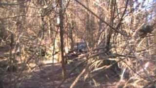 Greenhorn Trapping Part 8 Beaver Fox Coon Otter Bobcat Coyote [upl. by Droc]