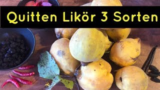 ⭐⭐ Quitten Likör selber herstellen Rezept  3 verschiedene Quitten Likör Rezepte ⭐⭐ [upl. by Annawyt]