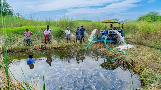 Pond Water Fish Catching and Cooking Fish Gravy in our Village  Country Fishing [upl. by Laefar]