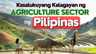 Kasalukuyang Kalagayan ng Sektor ng Agrikultura sa Pilipinas [upl. by Perren724]