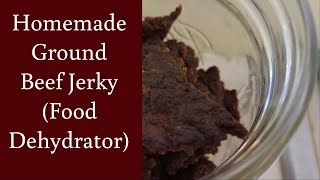 EASY Homemade Ground Beef Jerky in a Food Dehydrator [upl. by Ytak]