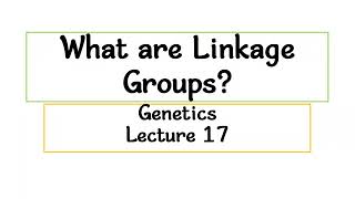 What are Linkage Groups Genetics  Lecture 17 [upl. by Dlnaod]