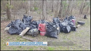 Cleaning up Coosaw Creek [upl. by Sone]