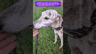 MULHER VIU UM VIDEO FOI ATÉ O ABRIGO E ADOTOU CACHORRO rescue resgate cachorro dog adote amor [upl. by Sterling]