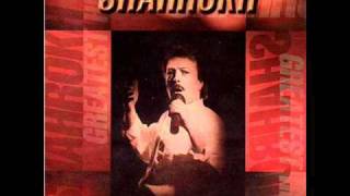 Shahrokh Kooheh Damavand Greatest hits Persian old music [upl. by Ahsayn953]