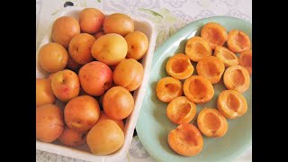 COMMENT CONSERVER DES ABRICOTS EN MORCEAUX POUR TARTES [upl. by Ara815]