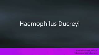 Pronunciation of the words quotHaemophilus Ducreyiquot [upl. by Gertruda574]