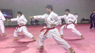 Japan National Karate Team  quotJionquot training  WKF World Championship 2012 [upl. by Perla]