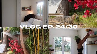 VLOG EP 2430 morning vloggy [upl. by Jedidiah]