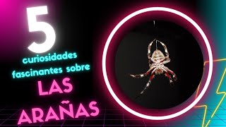 ¡5 CURIOSIDADES FASCINANTES SOBRE LAS ARAÑAS 🕷️🕸️ [upl. by Nievelt]