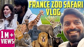 My First Ever France Thoiry Zoo Vlog  Mr Makapa [upl. by Dianthe724]