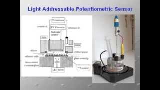 Sensori e Biosensori  ElbaTech Quartz Crystal Microbalance QCM [upl. by Kari643]