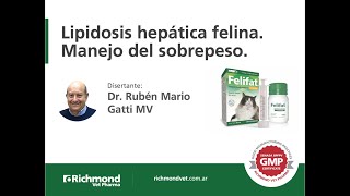 Dr Mario Ruben Gatti Lipidosis hepática felinaManejo del sobrepeso [upl. by Oiromed]