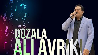 Ali Avriki Zawqtrin Dozala 2024 علي افريكي زةوقترين دوزةلة ٢٠٢٤ [upl. by Grearson56]