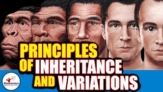 Principles Of Inheritance amp Variations l Lecture 13 l Biology l NEET [upl. by Kreitman]