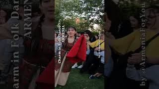 Charm in Folk Dance 💃 ARMENIA 🇦🇲 short 020 [upl. by Eninnaej]