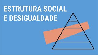 Estrutura social e desigualdade [upl. by Silirama604]