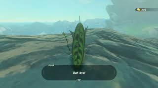 Korok seeds  Tal Tal Peak  Lanayru Tower 42  Zelda BOTW [upl. by Helmut619]