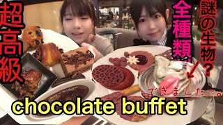 【ルビーチョコレート】【大食い】【高級】チョコレートビュッフェ でももちゃんとコラボデート [upl. by Ebonee698]