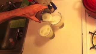 Tequila Sour  Receta [upl. by Armilda]