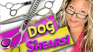 How to TRIM your DOG with SHEARS the right way [upl. by Arlyn]