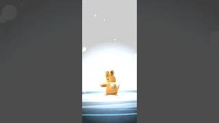 Evolving Pawmo in Pokémon Go [upl. by Ozkum275]