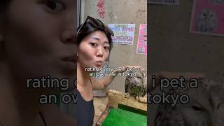 rating every owl i pet in Tokyo shorts vlog travel tokyo travelvlog japantravel [upl. by Hadrian129]