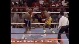 Hagler vs Hearns round 3 [upl. by Pond100]