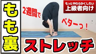 超キツいけど前屈できるようになるストレッチ！【2週間で手のひらペタっとなる方法】 [upl. by Anisor]