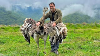 Cooking The Best Unimaginable Recipes In The Mountain Village Of Azerbaijan [upl. by Ysle]