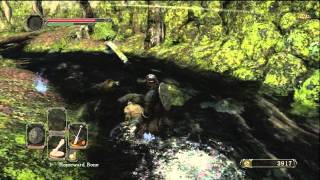 Dark Souls 2 Fire Longsword amp Heide Knight Sword Amazing Swords [upl. by Sakhuja37]