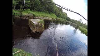 Irish Salmon Fishing River Drowes [upl. by Sturges]