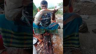 Amazing Pangas fish cutting skills 25 🐬😱 shorts [upl. by Lindi]