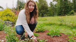 15 Medicinal Herbs and Their Uses for This Fall  Herb Garden Tour [upl. by Ddene843]