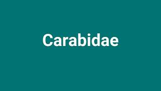 Carabidae Meaning and Pronunciation [upl. by Ojeibbob]