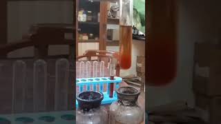 Neutral Ferric Chloride test of Aniline [upl. by Millham]