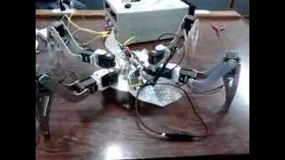 Hexapod  Etmos first Wake up [upl. by Leiuqeze]