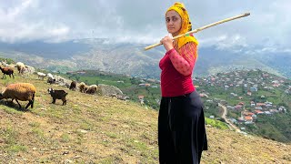 Daily Routine Village life in IRAN  Cooking Rural Style Food  IRAN Nomadic life [upl. by Aiotal4]